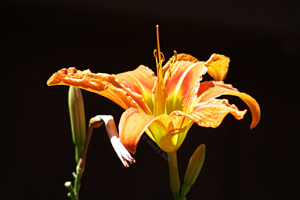 When We Are&nbsp;Reclaimed