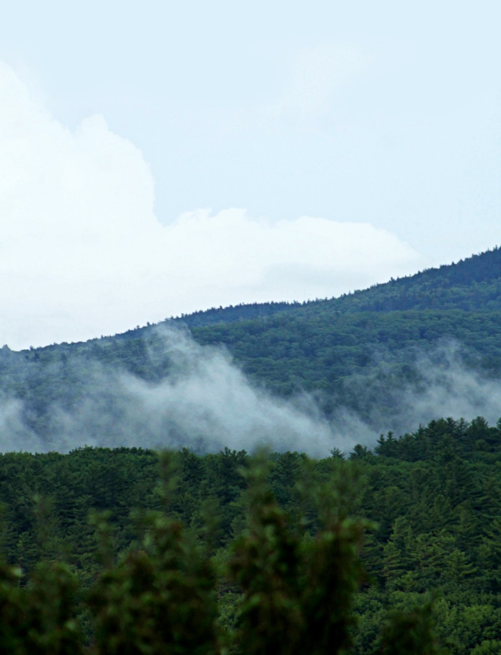Bottom of the Mountain&nbsp;River