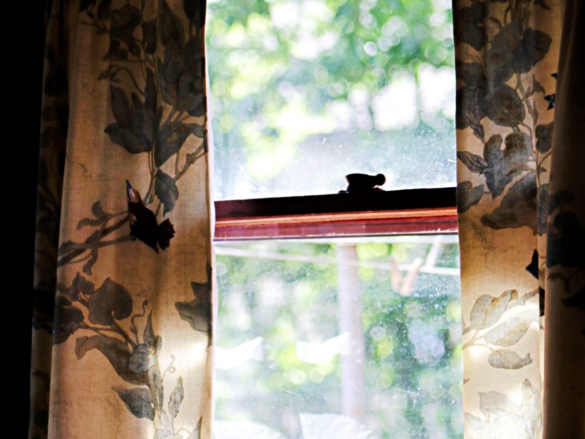 The Sights of&nbsp;2024