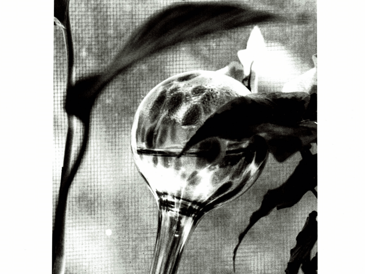 Analog Perspectives in Darkroom&nbsp;Photography